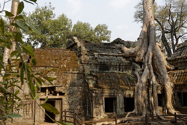 Ta Phrom et environs-059